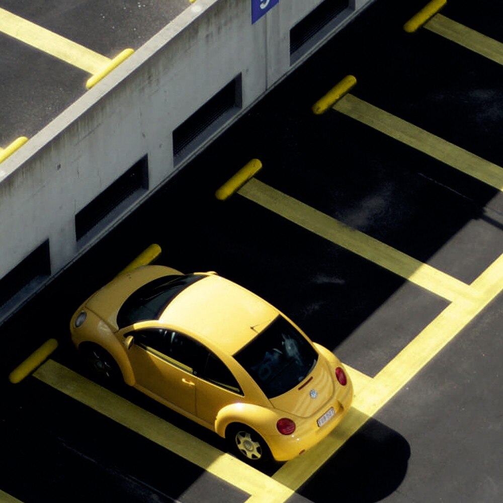 Tablou Forex, Yellow beetle, 50x50 cm