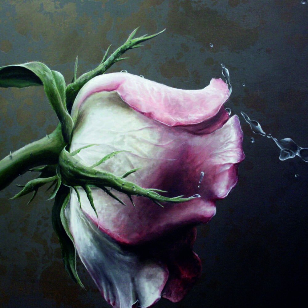 Tablou Canvas, Drop roses, 50x50 cm