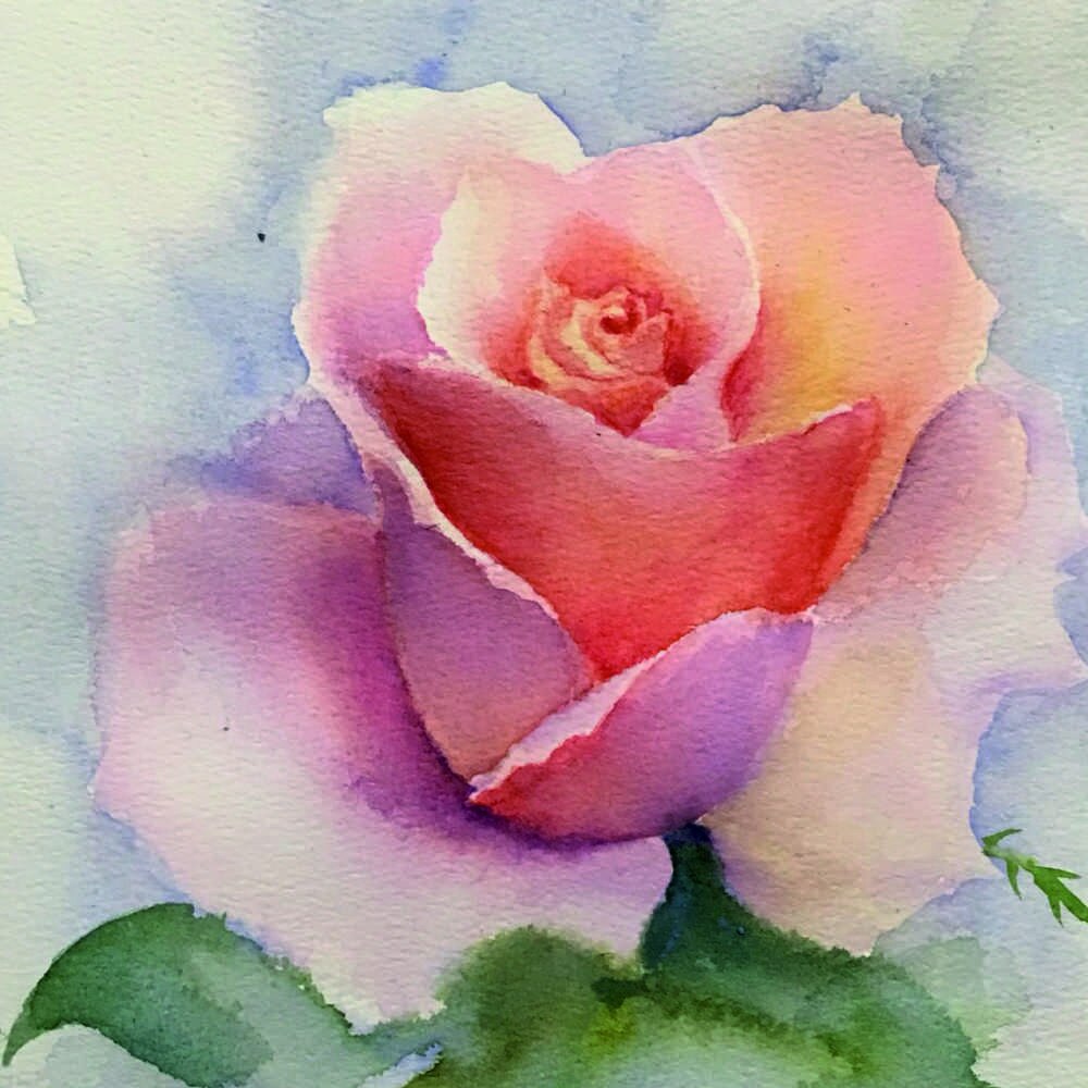 Tablou Forex, Rosesingle, 50x50 cm