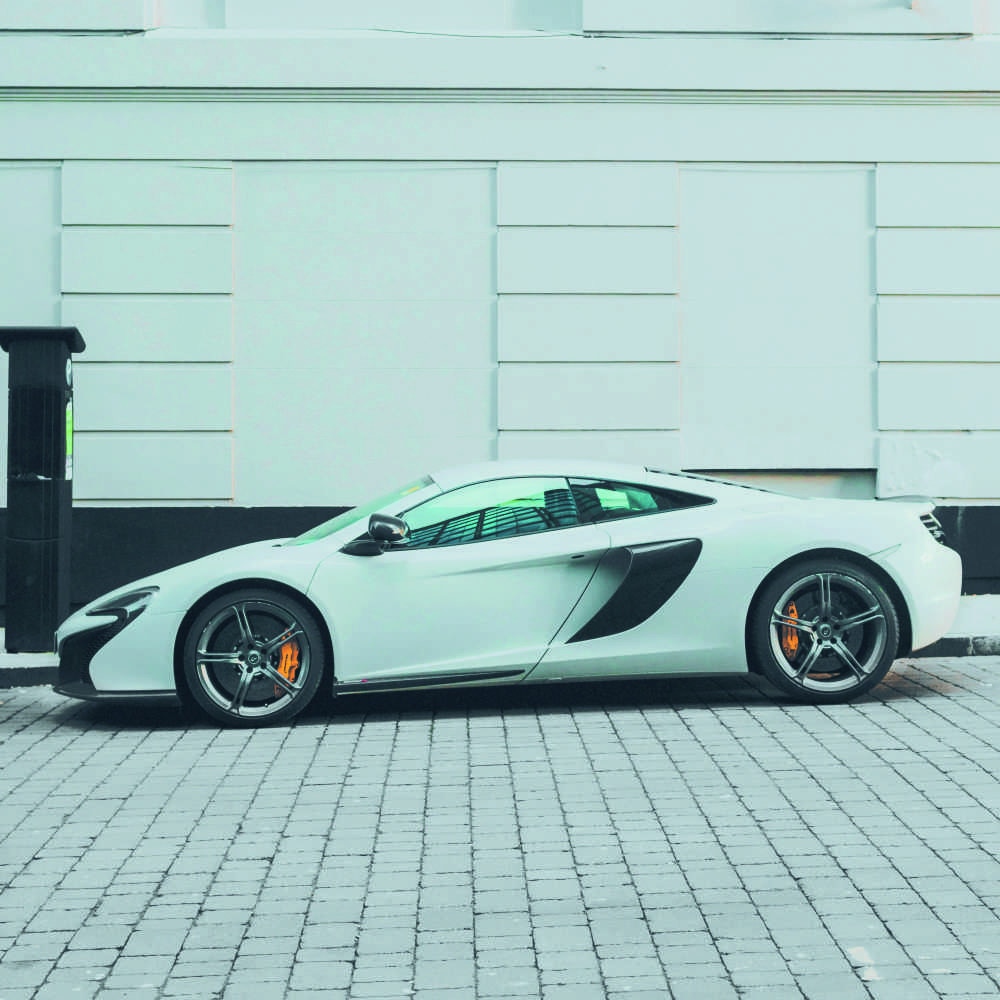 Tablou Canvas, White beast city, 50x50 cm