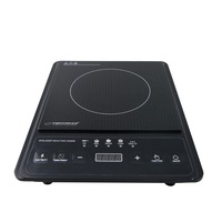 Plita cu inductie, 220V, 2000W, Negru