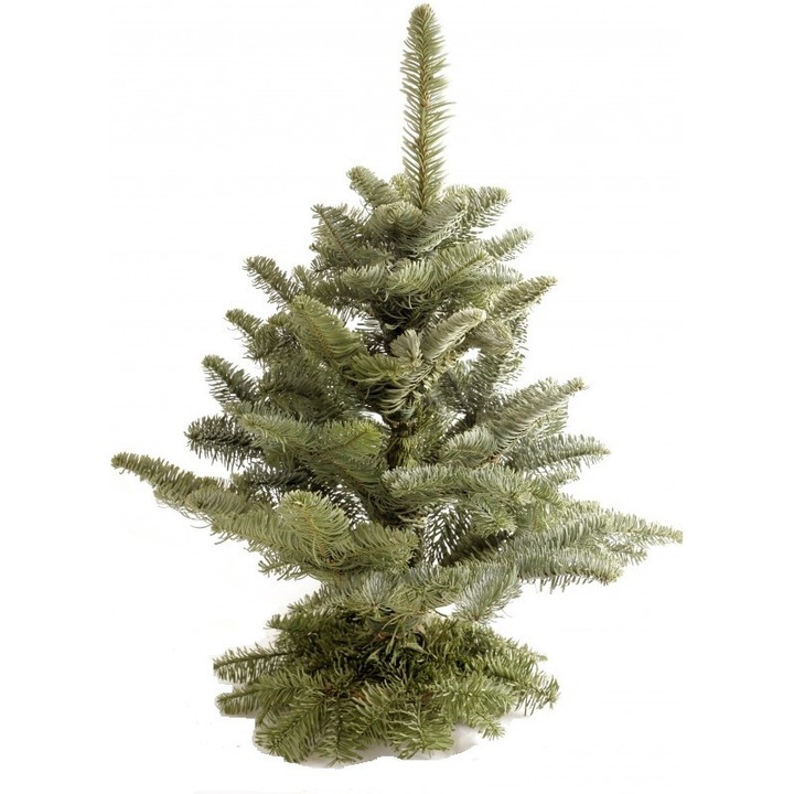 Decoratiune din brad natural, 40cm