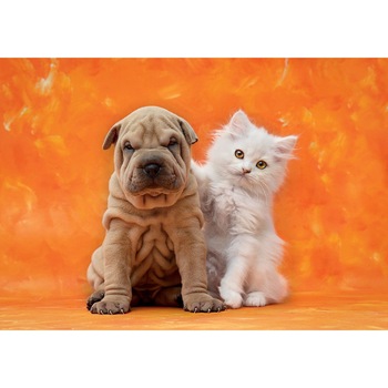 Puzzle Clementoni - So Cute, 1.500 piese (51462) Puzzle Clementoni - So Cute, 1.500 piese (51462)