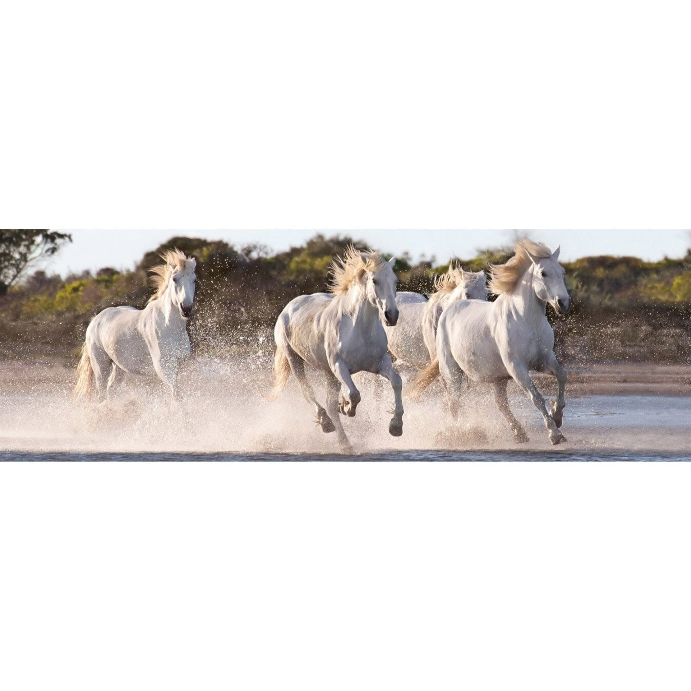 Puzzle panoramic Clementoni - Horses, 1.000 piese (62418)