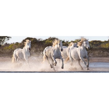 Puzzle panoramic Clementoni - Horses, 1.000 piese (62418) Puzzle panoramic Clementoni - Horses, 1.000 piese (62418)