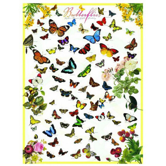 Puzzle Eurographics - Butterflies, 1.000 piese (2233)