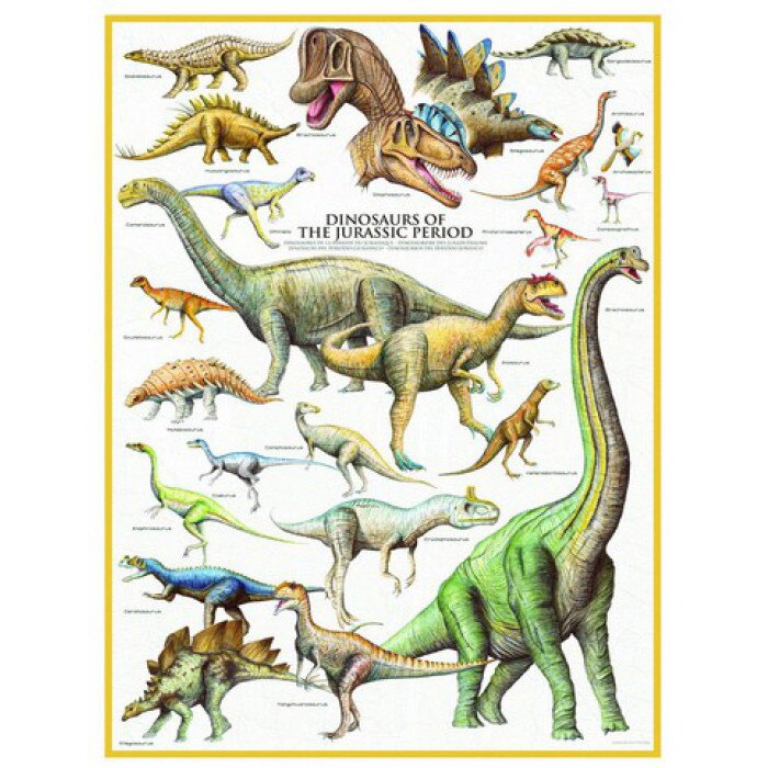 Puzzle Eurographics - Dinosaurier des Jura, 1.000 piese (42011)
