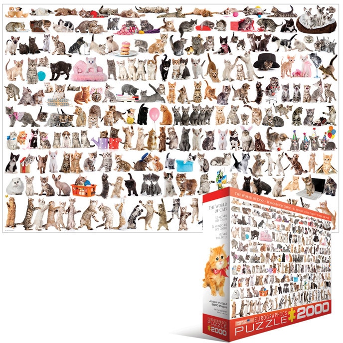 Puzzle Eurographics - Cat, 2.000 piese (43203)