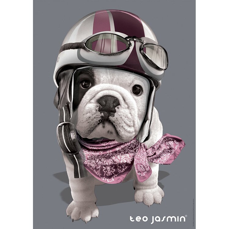 Puzzle Nathan - Teo Racing, 1.000 piese (12717)