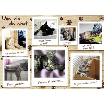 Puzzle Nathan - Une Vie de Chat, 1.500 piese (55351) Puzzle Nathan - Une Vie de Chat, 1.500 piese (55351)