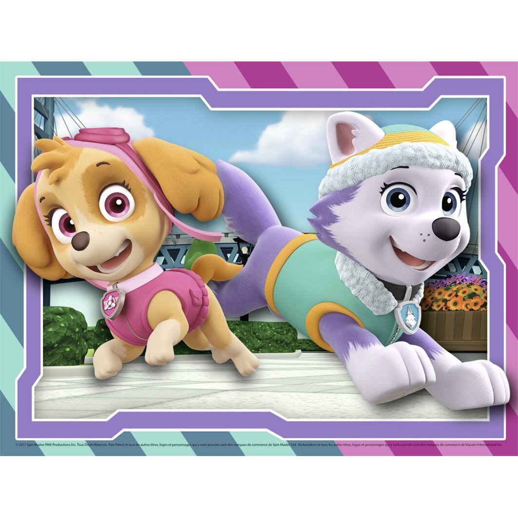 Puzzle Nathan - Paw Patrol, 30 piese (62479)