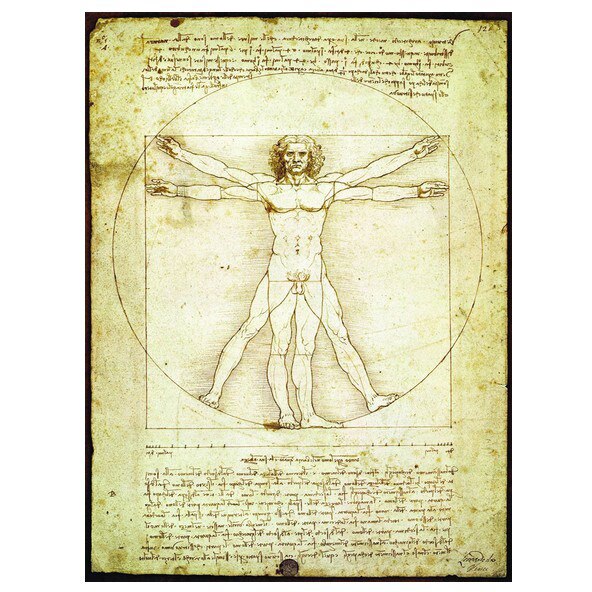 Puzzle Eurographics - Leonard de Vinci: Vitruvian Man, 1.000 piese (42525)