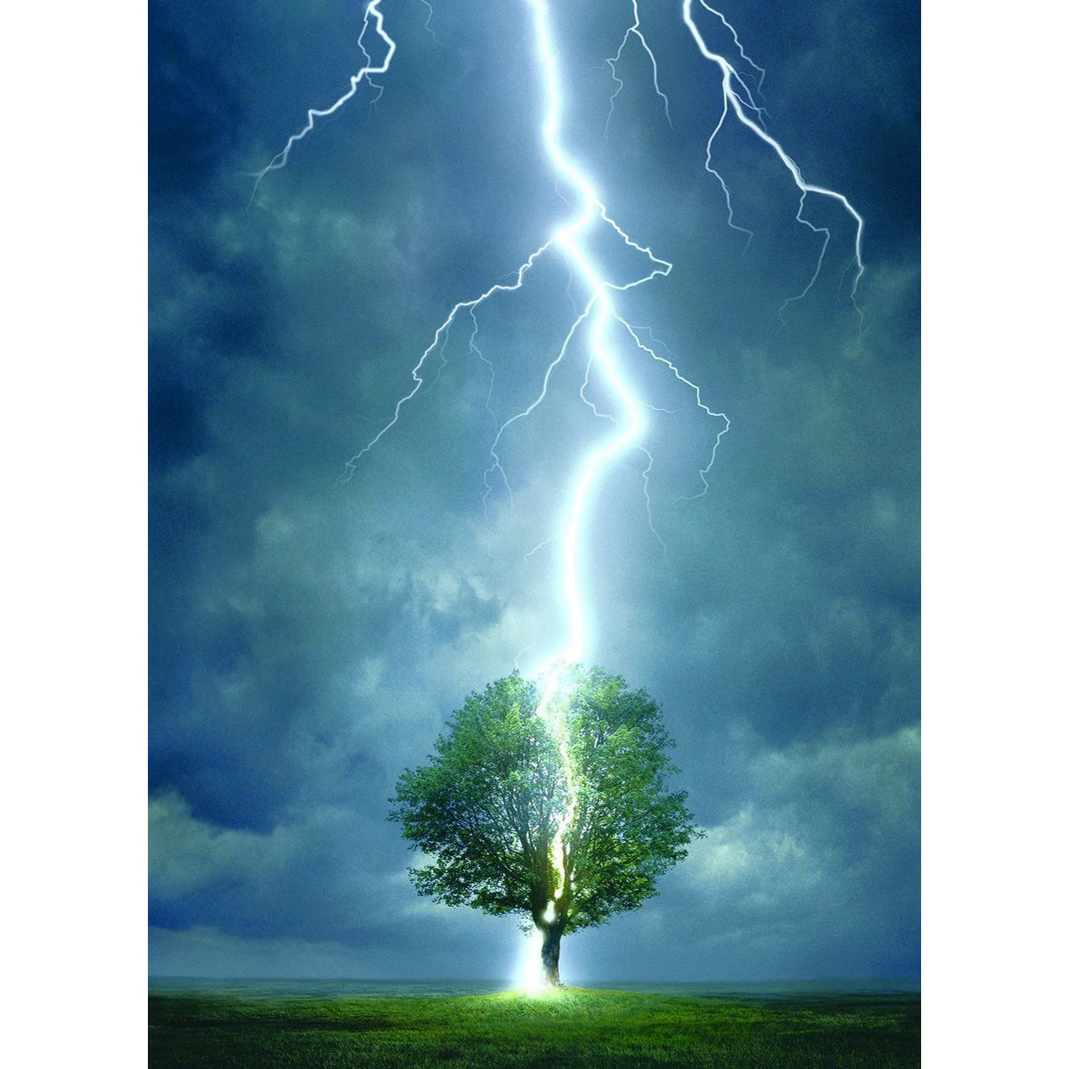 Puzzle Eurographics - Lightning striking a tree, 1.000 piese (41897)