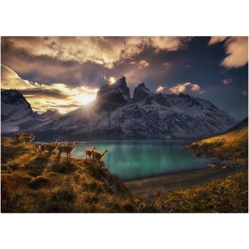 Puzzle Heye - Von Humboldt Alexander: Von Humboldt Alexander - Guanacos, 1.000 piese (61431) Puzzle Heye - Von Humboldt Alexander: Von Humboldt Alexander - Guanacos, 1.000 piese (61431)
