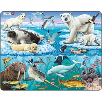 Puzzle Larsen - Arctic Ice, 75 piese (48414) Puzzle Larsen - Arctic Ice, 75 piese (48414)