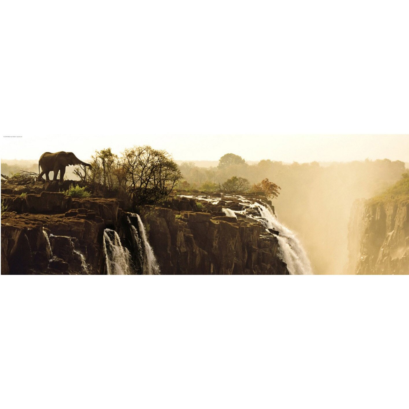 Puzzle panoramic Heye - Von Humboldt Alexander: Alexander von Humboldt : Elephant, 1.000 piese (5070)