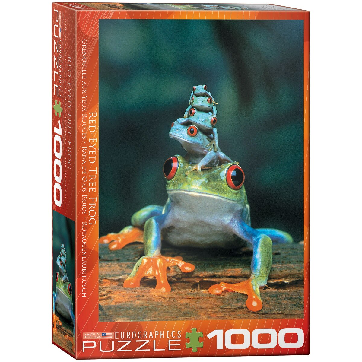 Puzzle Eurographics - Red-Eyed Tree Frog, 1.000 piese (62191)