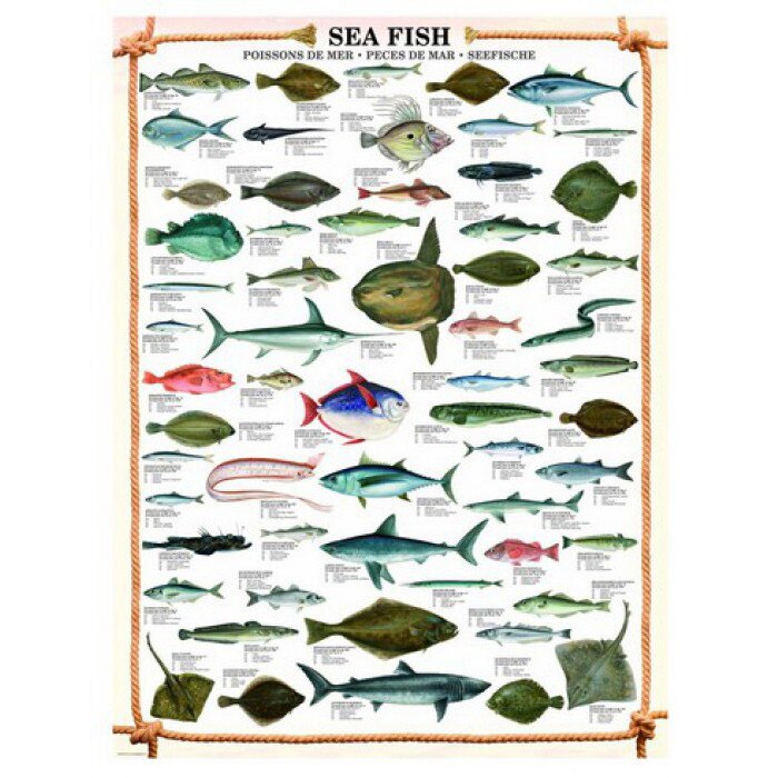 Puzzle Eurographics - The fishes, 1.000 piese (41866)