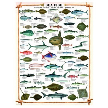 Puzzle Eurographics - The fishes, 1.000 piese (41866) Puzzle Eurographics - The fishes, 1.000 piese (41866)