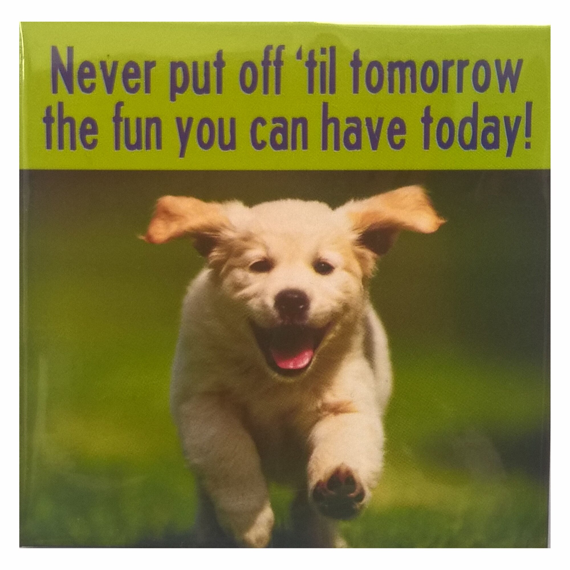 Magnet de frigider Never put off