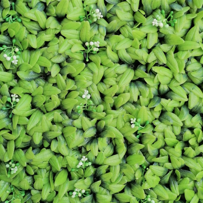 Perete verde artificial A040f,, Gradini verticale din plante artificiale, Green Collection, 50 x 50cm