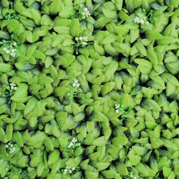 Perete verde artificial A040f,, Gradini verticale din plante artificiale, Green Collection, 50 x 50cm Perete verde artificial A040f,, Gradini verticale din plante artificiale, Green Collection, 50 x 50cm