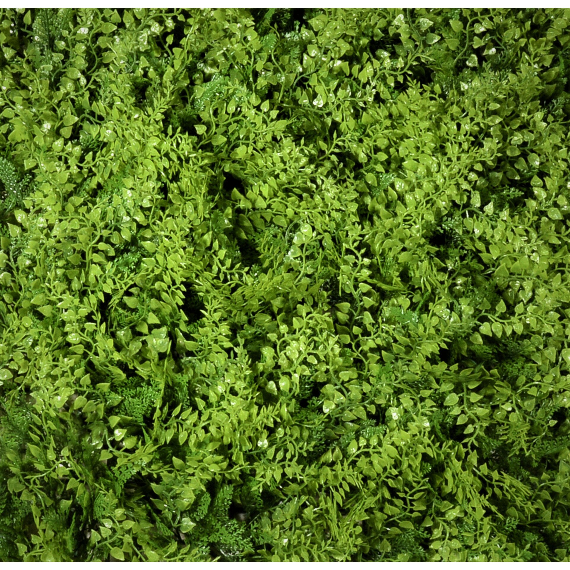 Perete verde artificial A038, Gradini verticale din plante artificiale Green Collection,50 x 50cm