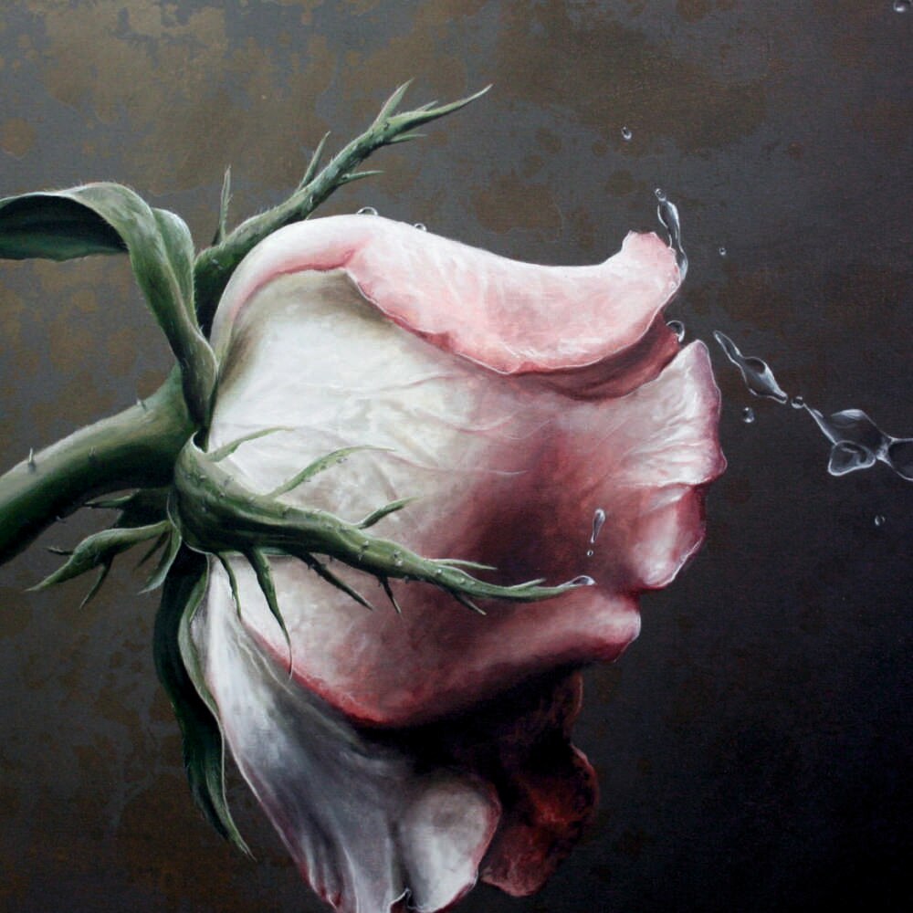 Tablou Forex, Drop roses, 50x50 cm