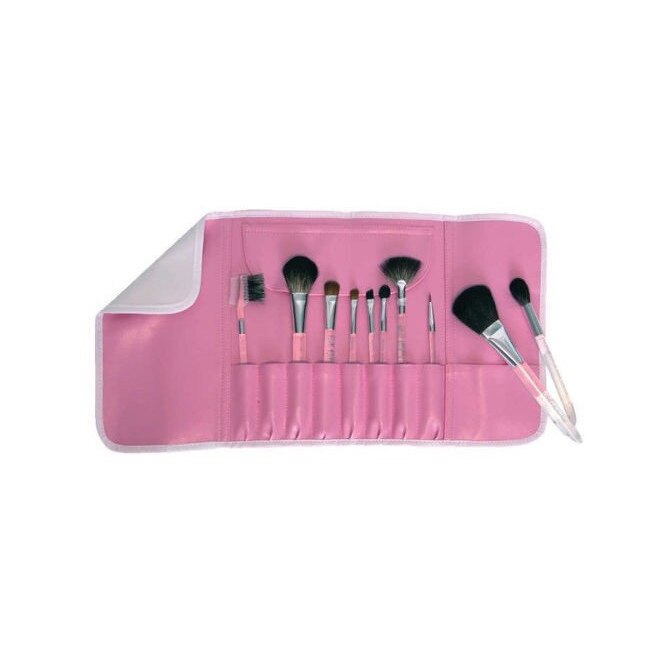 Set 12 Pc Brush Roll