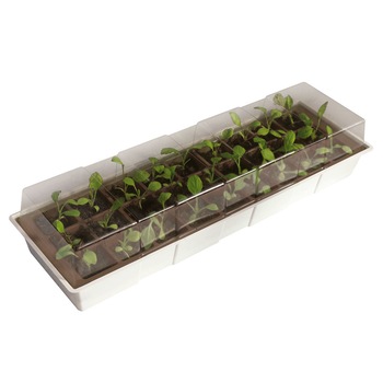 Mini sera Window Kit 49 x 15.5 cm Mini sera Window Kit 49 x 15.5 cm