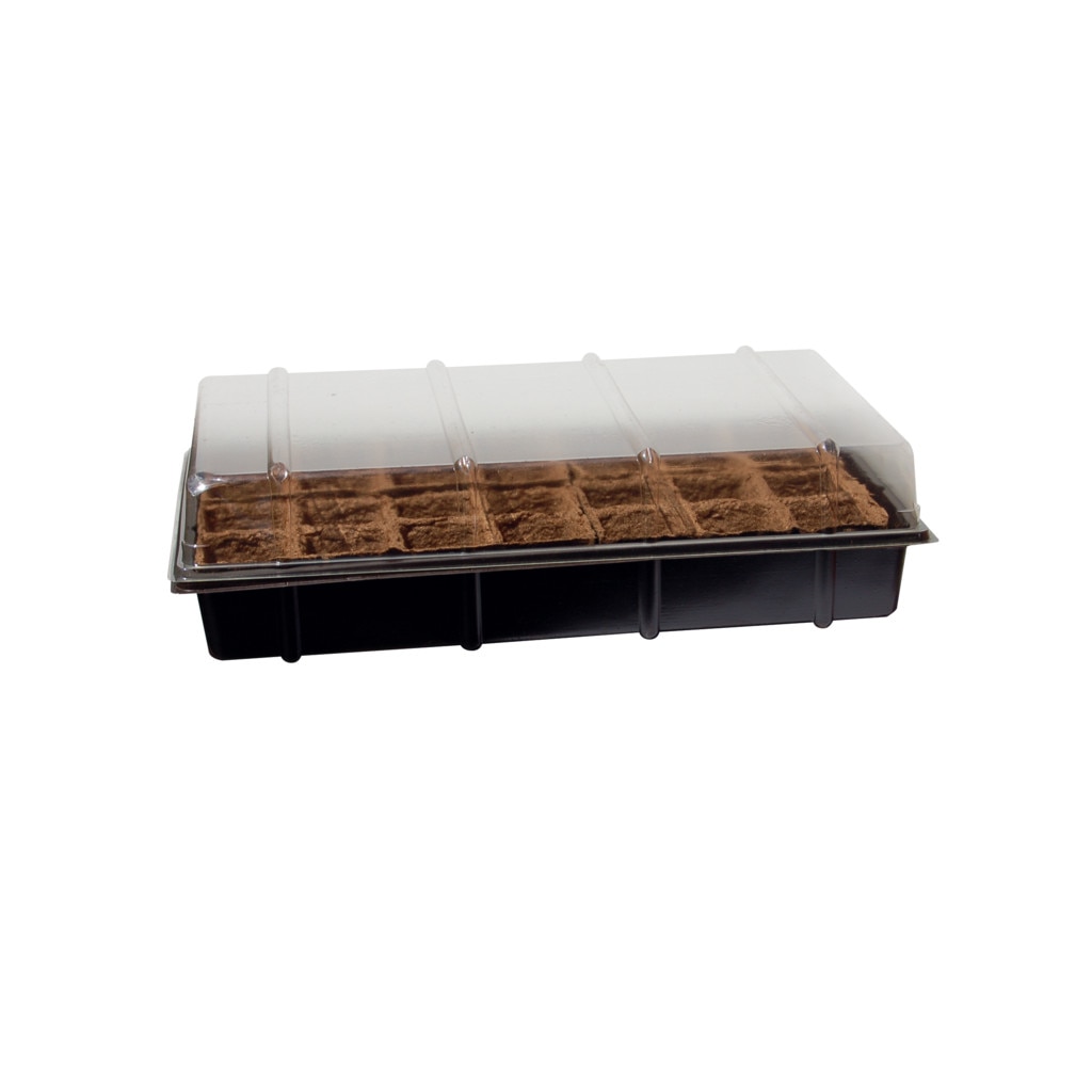 Mini sera Growing Kit 38 x 23 cm