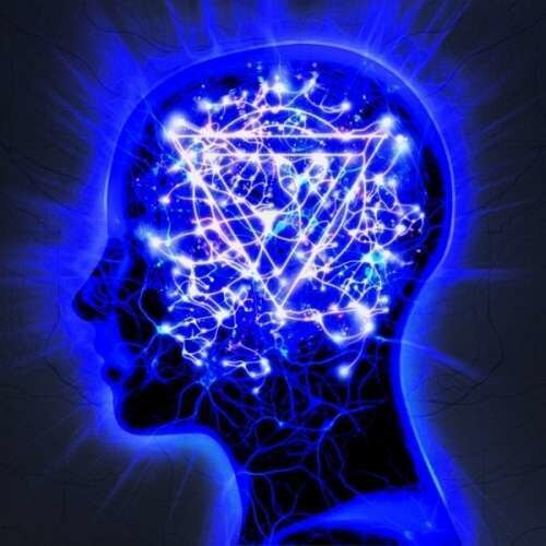 Enter Shikari - Mindsweep + Dvd (2CD)