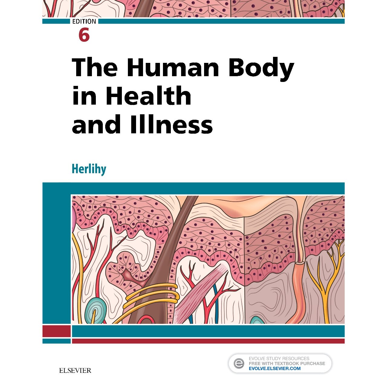 The Human Body in Health and Illness de Barbara Herlihy