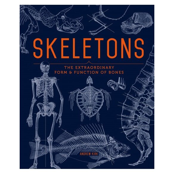 Skeletons : the extraordinary form and function of bones, Andrew Kirk
