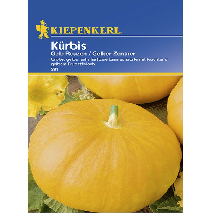 Seminte de Dovleac Gele Reuzen, plic de 5 seminte