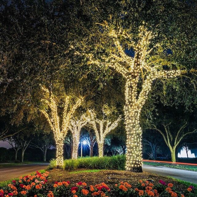 Instalatie exterior cauciuc 100 leduri alb rece 10ml 30-19100 Adeleq