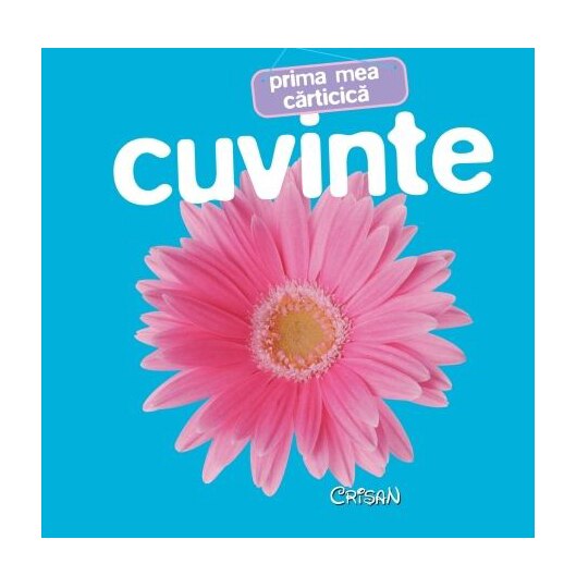 Prima mea carticica. Cuvinte