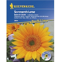 seminte de floarea soarelui sunrich gold plic de 20 seminte imagen 24_0_
0