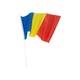 Set 100 Steaguri tricolore 30x45 cm, Romania / flag / drapel