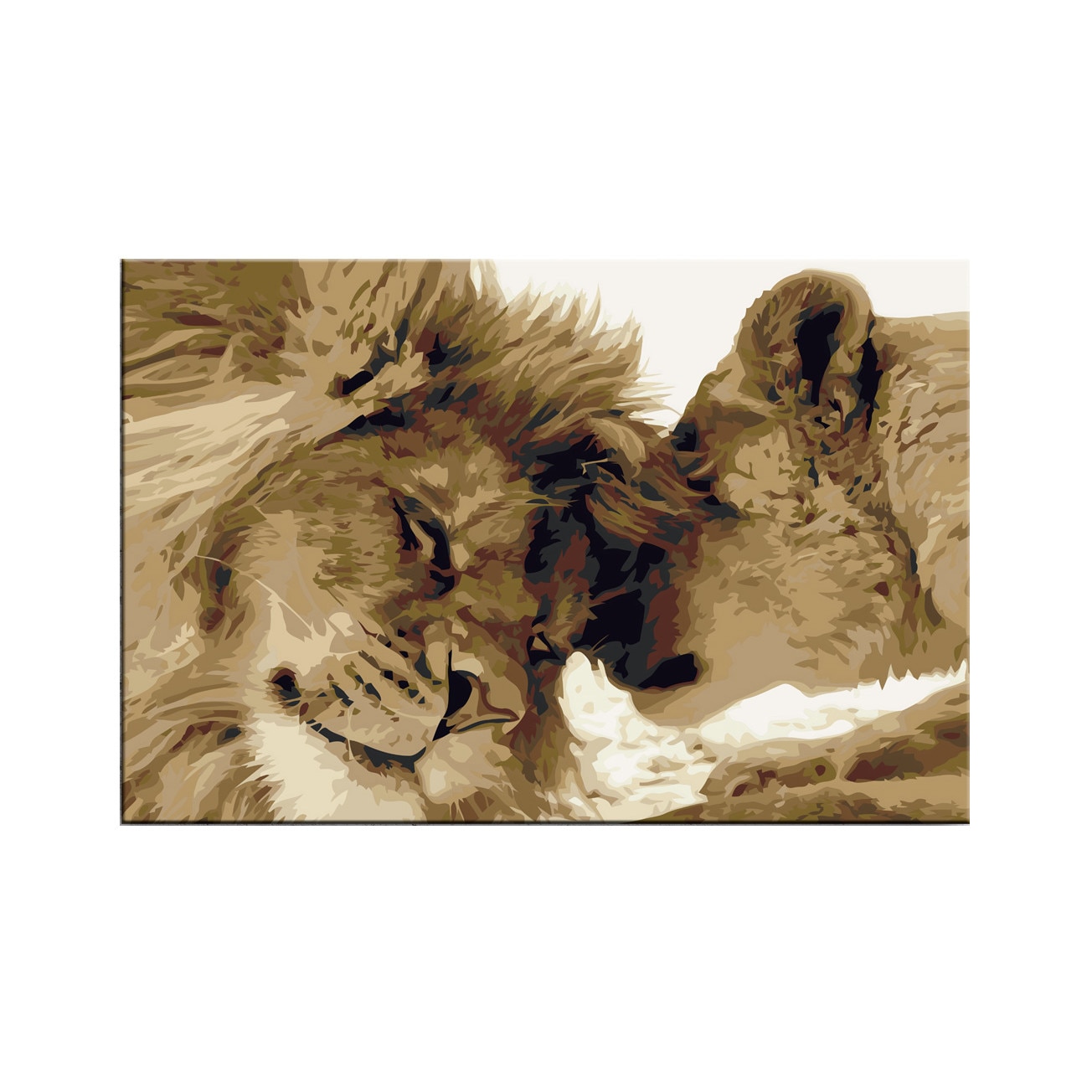 Pictura pe numere - Lions In Love - 60x40cm