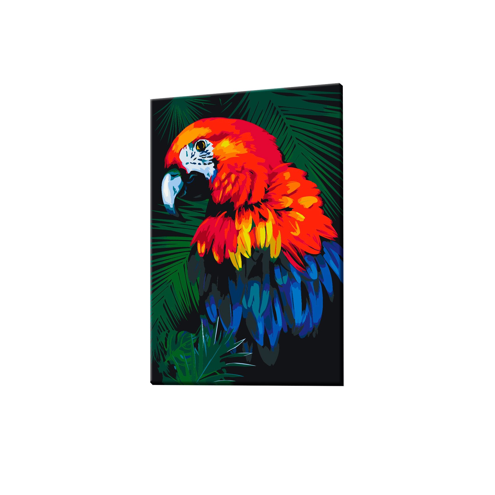 Pictura pe numere - Parrot - 40x60cm