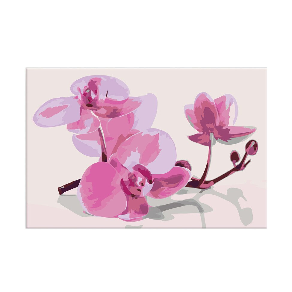 Pictura pe numere - Orchid Flowers - 60x40cm