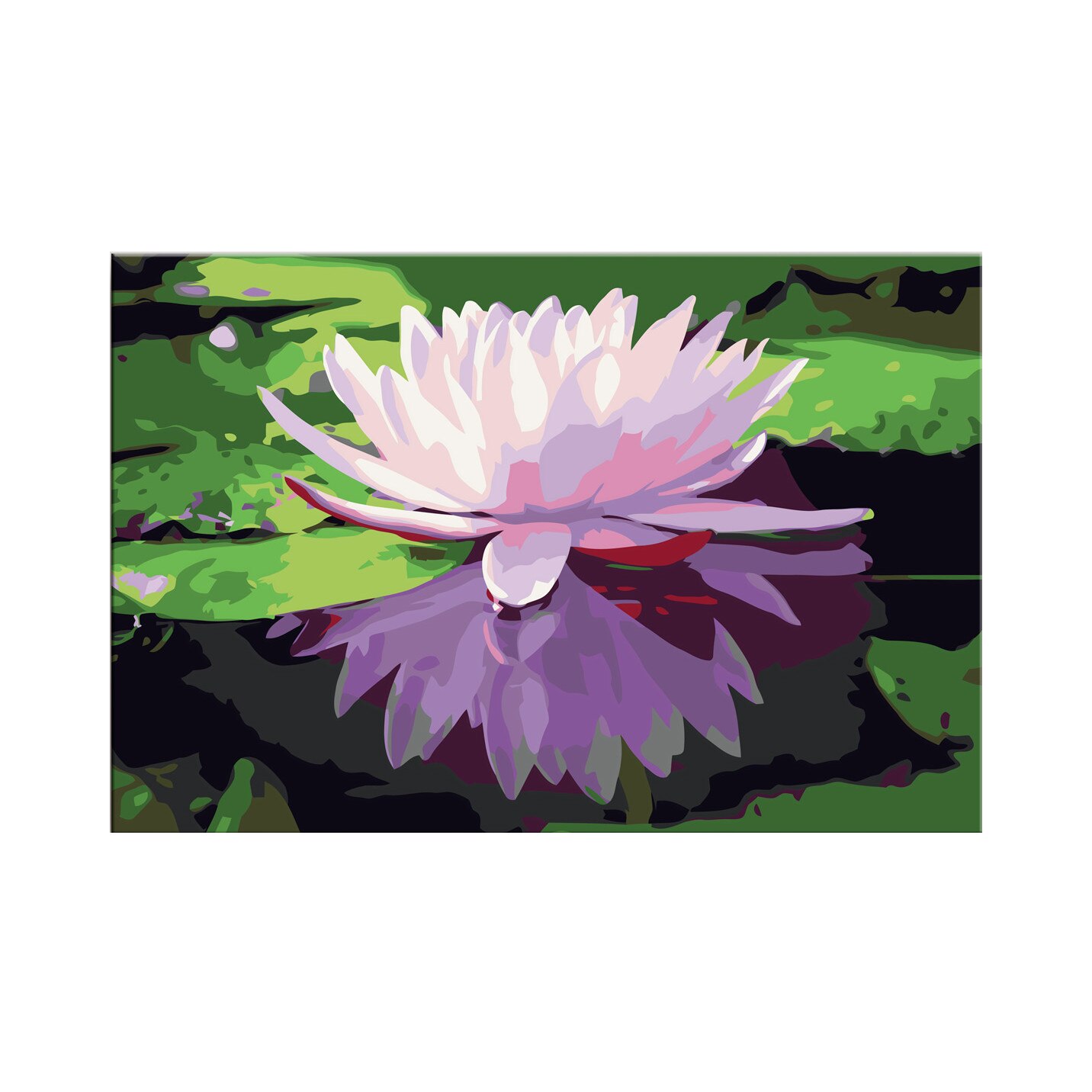 Pictura pe numere - Water Lily - 60x40cm