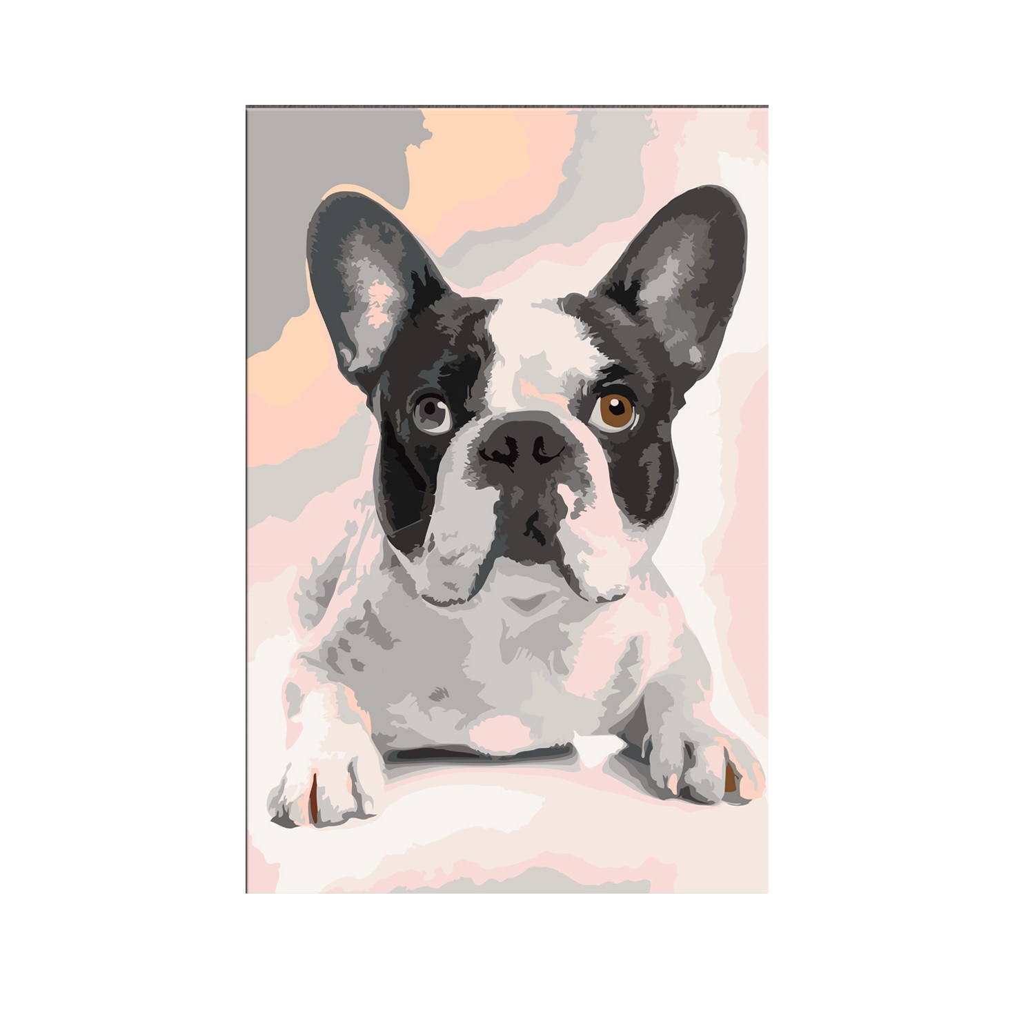 Pictura pe numere - French Bulldog - 40x60cm