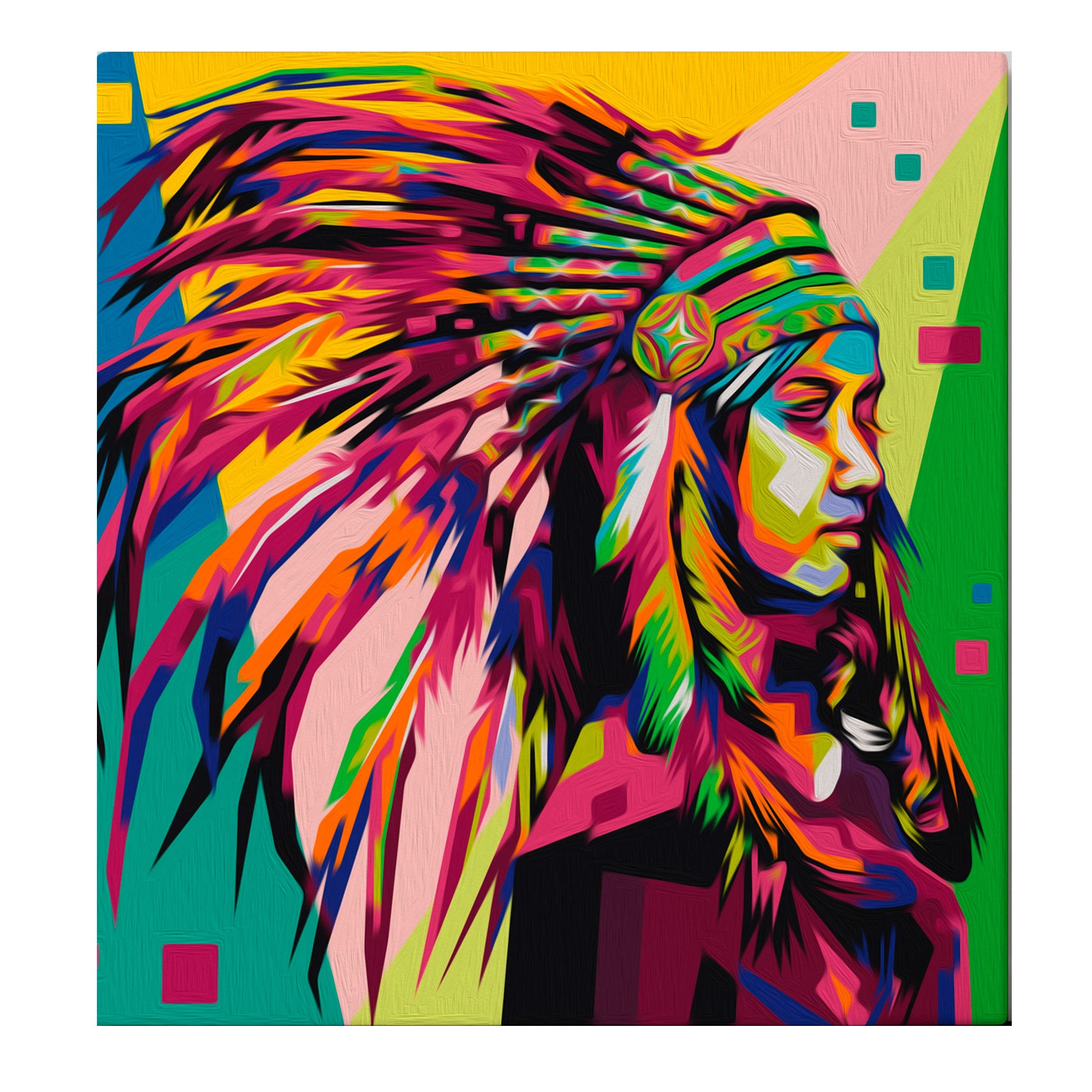 Pictura pe numere - Native American (Plume) - 40x40cm