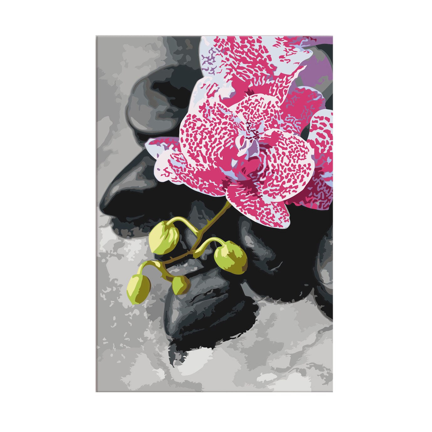 Pictura pe numere - Pink Orchid - 40x60cm