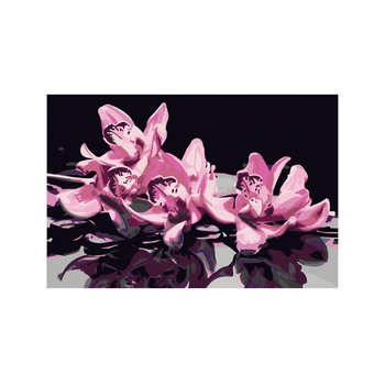 Pictura pe numere - Pink Orchid (Black Background) - 60x40cm Pictura pe numere - Pink Orchid (Black Background) - 60x40cm