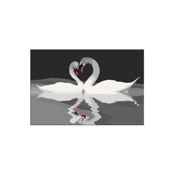 Pictura pe numere - Swan Couple - 60x40cm Pictura pe numere - Swan Couple - 60x40cm
