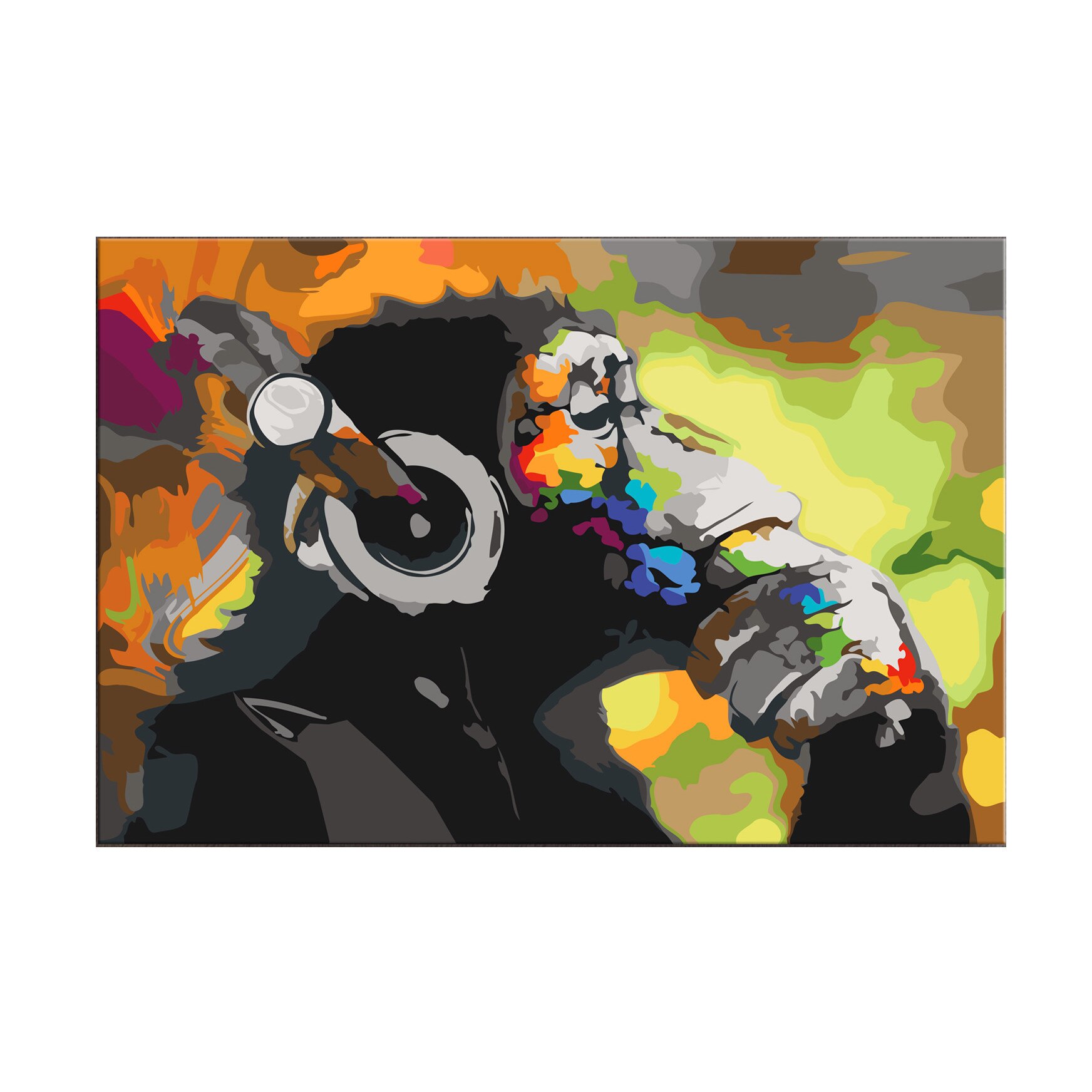 Pictura pe numere - Monkey In Headphones (Multi Colour) - 60x40cm