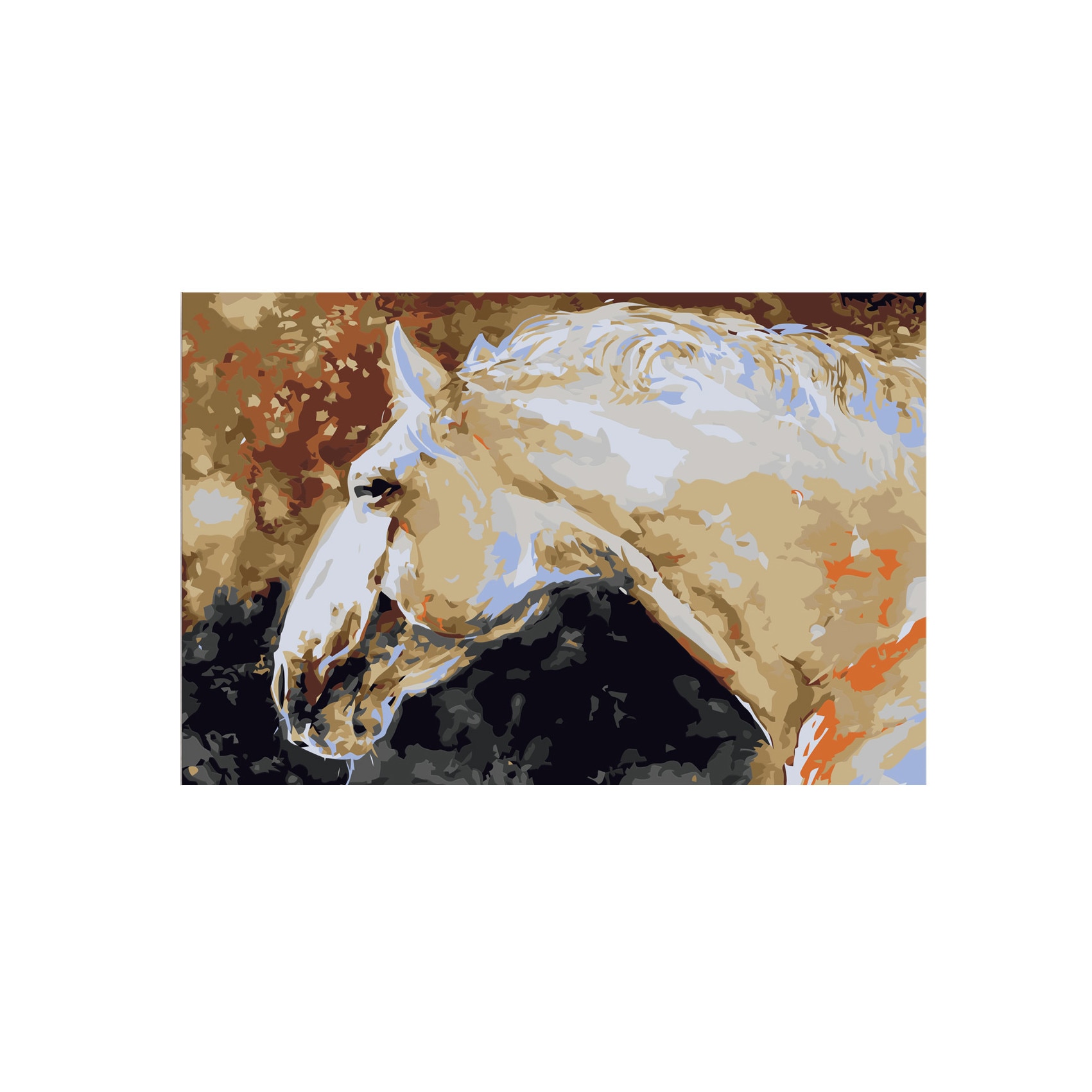 Pictura pe numere - White Horse - 60x40cm